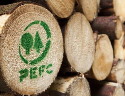 RG Timber B.V. vanaf nu FSC® & PEFC gecertificeerd